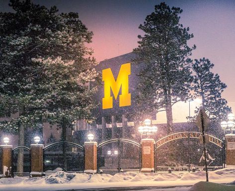 Find things to do in winter, and all season in the Ann Arbor area! Things To Do In Winter, Ann Arbor Michigan, Tourism Website, One Home, Urban Oasis, Travel Tourism, Pure Michigan, Open Spaces, University Of Michigan