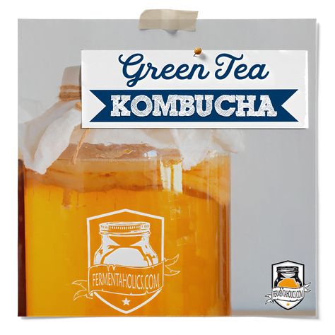 Brewing Kombucha, Green Tea Kombucha, Kefir Cheese, Kombucha Starter, Kombucha Flavors, Kombucha Scoby, Decaf Tea, Anti Inflamatory, Kombucha Recipe