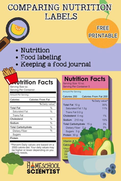 How to read nutrition labels worksheets for elementary grades and middle and high school. Nutrition label activities and worksheets. Good activity to go with health activities for kids or human body activities for kids. Middle School Nutrition Lessons, Nutrition Activities High School, Healthy Living Activities For Kids, Food And Nutrition Activities, Body Activities For Kids, Nutrition Activities For Kids, Human Body Activities For Kids, Health Activities For Kids, Nutrition Games