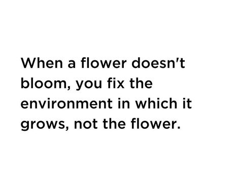 Bloom For Yourself Quotes, New Environment Quotes, When A Flower Doesn't Bloom Quote, Grown Up Quotes, Quotes About Environment, When A Flower Doesn't Bloom, Bloom Quotes, The Environment, A Quote