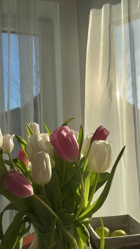 Pink And White Tulips, Boquette Flowers, Nothing But Flowers, Flower Therapy, White Tulips, Beautiful Bouquet Of Flowers, Spring Aesthetic, Pink Tulips, Tulips Flowers