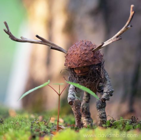 Woodland Creatures Fantasy Art, Acorn Fairies, Acorn People, Mini Forest Creature Fairy, Woodland Animals Sculptures & Statues, Acorn Crafts, Fairy Tree, Diy Crafts To Do, Driftwood Art