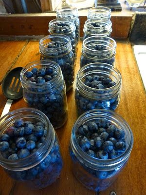 Rural Revolution: Canning blueberries Canning Blueberries, Canning 101, Canned Blueberries, Canning Fruit, Home Canning Recipes, Canning Vegetables, Canning Food, Canning Jam, Canning Food Preservation