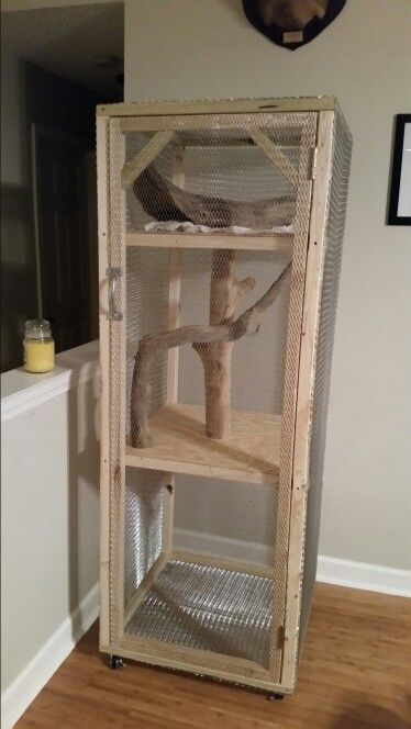 Chipmunk Enclosure, Squirrel Cages Indoor, Indoor Raccoon Enclosure, Diy Squirrel Cage Ideas, Wildlife Rehabilitation Enclosures, Squirrel Cage Ideas, Squirrel Enclosure, Squirrel Habitat, Baby Squirrel Care