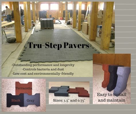 Want to know the benefits of Tru-Step Pavers? Visit our website for more information! Happy Friday! classic-equine.com/rubber-aisle-p… #CEE #besthorsestalls #classicequine Equine Facility Design, Horse Stalls Doors, Rubber Pavers, Equine Facility, Dream Barn Stables, Barn Remodel, Horse Barn Ideas Stables, Classic Equine, Tack Rooms