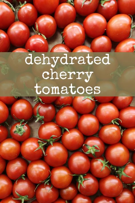 Did you know you can easily dehydrate your tomatoes at home for long term food storage?   dehydrator recipes, food dehydrator, dehydrating tomatoes, dehydrated fruit, dehydrated snacks Recipes For Dehydrator, Fruit Dehydrator Recipes, Dehydrated Squash, Dehydrate Tomatoes, Dehydrated Tomatoes, Dehydrating Tomatoes, Dehydrating Vegetables, Dehydrated Banana Chips, Dehydrator Recipes Fruit