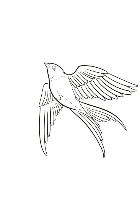 Bird Line Drawing, Chest Tattoo Stencils, Flower Tattoo Stencils, Bird Outline, Drawing Legs, Drawing Stars, Thigh Tattoos, Tattoo Stencil Outline, Bird Tattoo