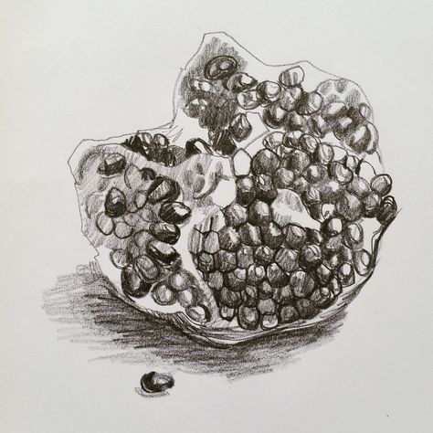 Maria Zaikina | Pomegranate, pencil on paper Pomegranate Sketch Drawing, Pomegranate Sketch, Maria Zaikina, Pomegranate Drawing, Pencil Drawing Ideas, Pomegranate Art, Tattoo Graphic, Pencil Shading, Object Drawing