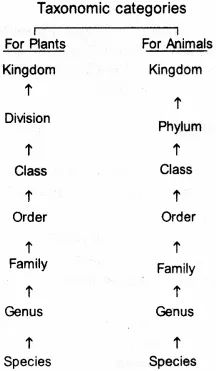 The Living World Neet Notes, Zoology Project Ideas, The Living World Notes Biology, Zoology Notes, Medical Terminology Study, Neet Notes, Learn Biology, Science Study, Study Biology