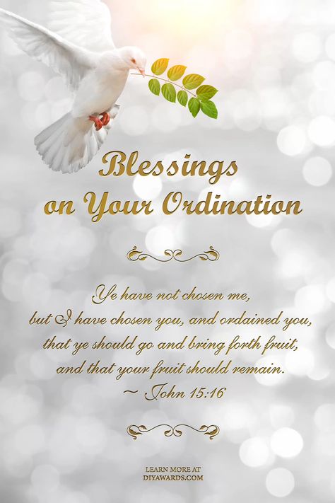 Ordination Party Ideas, Ordination Day Wishes For Priest, Priesthood Anniversary Wishes, Pastor Ordination Reception, Ordination Decorations Ideas, Ordination Anniversary Wishes, Ordination Cards, Pastor Appreciation Quotes, Happy Anniversary Photos