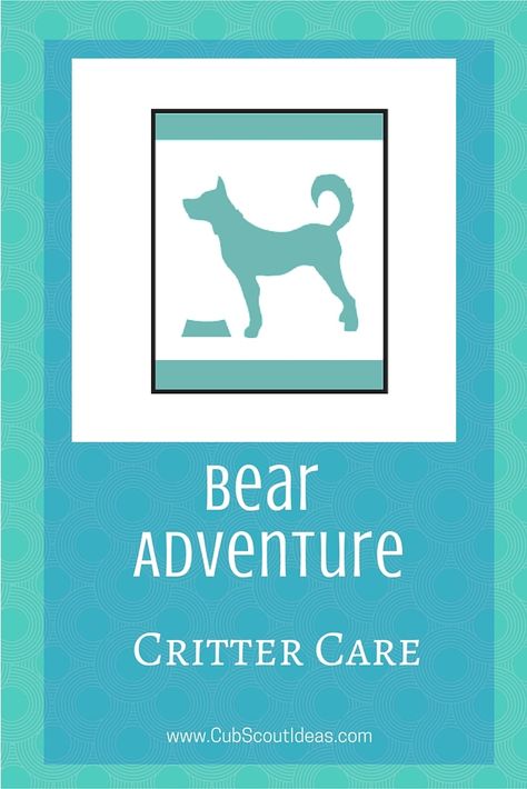 Find out about the Cub Scout Bear adventure, Critter Care. Check out the ideas and activities to fulfill the requirements. #CubScouts #CubScout #Scouting #Bears #BearCubScouts Cub Scout Bear Requirements, Cub Scouts Bear, Cub Scout Crafts, Bear Scouts, Cub Scout Activities, Scout Activities, Scout Leader, Scout Ideas, Scouts Crafts