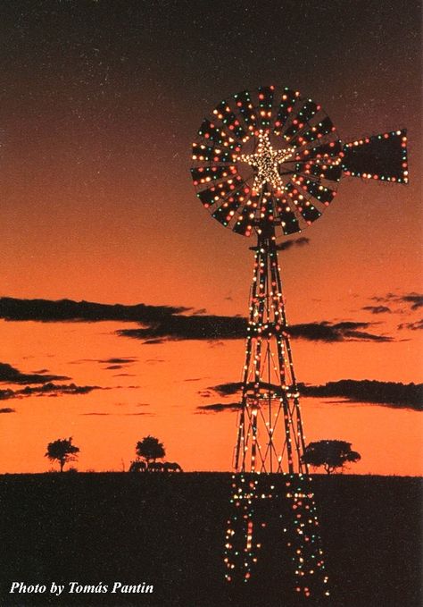 Christmas in Texas! Photo by Tomas Pantin Christmas Lights At Night, Christmas In Texas, Only In Texas, Lights At Night, Texas Christmas, Old Windmills, Texas Forever, Western Christmas, Texas Homes