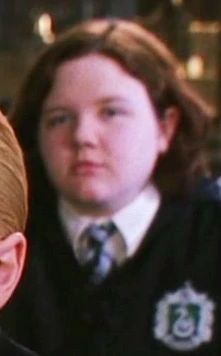 Millicent Bulstrode, Slytherin Student, Harry Potter Crossover, Dolores Umbridge, Harry Potter Wiki, Ronald Weasley, School Of Witchcraft, Slytherin House, Hogwarts Aesthetic