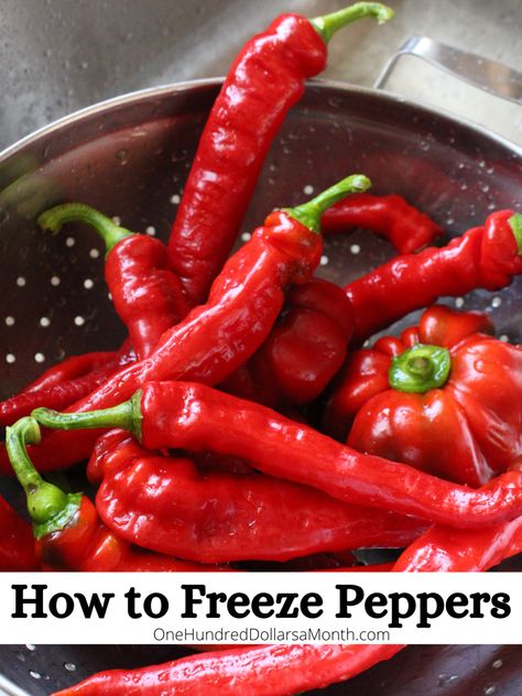 How to Freeze Peppers - One Hundred Dollars a Month How To Freeze Peppers, Freeze Peppers, Freezing Peppers, Freezing Vegetables, Food Preserving, Freezing Food, Homestead Kitchen, Freezer Meal Planning, Recipe List