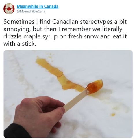 Canadian Stereotypes, Canadian Memes, Canada Memes, Canadian Humor, Meanwhile In Canada, Canadian Things, Hockey Memes, Usa Funny, Star Wars Jokes