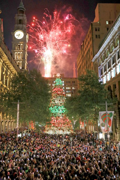 Christmas in the city of Sydney, Australia 2018 Christmas Australia, Australia Christmas, Christmas In Australia, Christmas In The City, Sydney City, World Cities, Island Girl, Sydney Australia, Festive Season