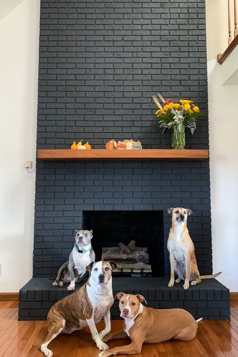 4 easy steps to paint your brick fireplace! Black Brick Fireplace, Brick Fireplace Wall, Grey Fireplace, Red Brick Fireplaces, Painted Brick Fireplace, Black Brick Wall, Painted Brick Fireplaces, Fireplace Update, Brick Interior