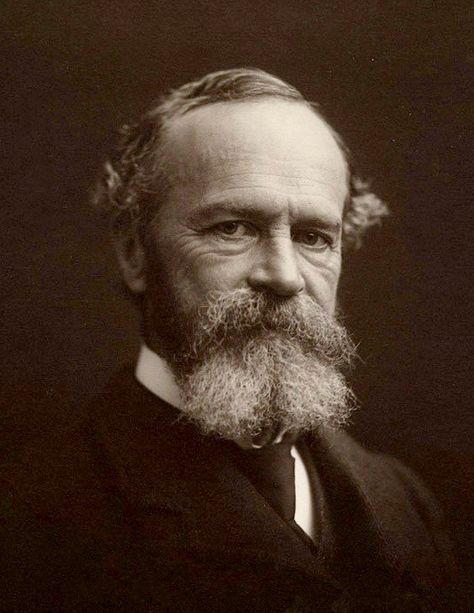 William James on Consciousness and the Four Features of Transcendent Experiences – Brain Pickings Psychology Courses, Habits Of Mind, William James, Tamworth, Henry James, Williams James, Stream Of Consciousness, Educational Psychology, Spiritual Experience