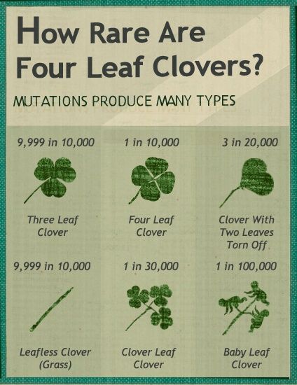 The four-leaf clover represents hope, faith, love, happiness, but also symbolize the four elements of nature: Earth, Air, Fire and Water. These are the four primal principles which everything is built, we need them all to be in tune and stay Four Leaf Clover Display, 4 Leaf Clover Meaning, Four Leaf Clover Quotes, Four Clover Leaf, Clover Meaning, Clover Quote, Four Leaves Clover, Leaf Quotes, Irish Eyes Are Smiling