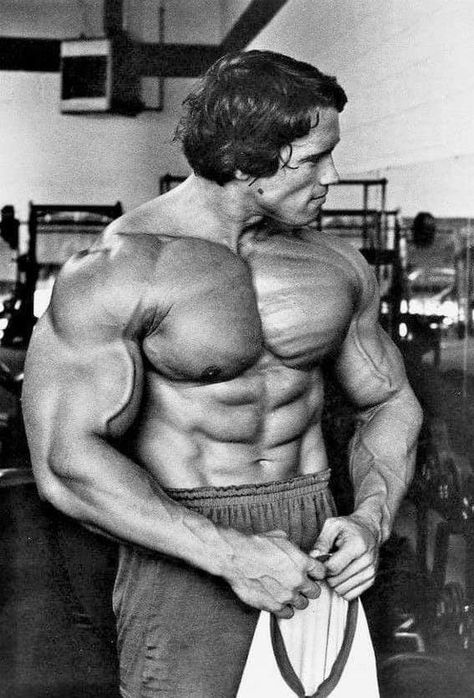 Arnold Schwarzenegger Pfp, Arnold Schwarzenegger Aesthetic, Arnold Swarzenegger, Classic Bodybuilders, Arnold Schwarzenegger Body, Extreme Bodybuilding, Arnold Schwarzenegger Gym, Arnold Schwarzenegger Muscle, Arnold Bodybuilding