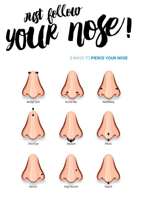 nose piercing | The World's No.1 Piercing Shop Piercing Infographic, Piercing Places, Nose Piercing Pain, Ignorant Tattoo, Anti Eyebrow, Ashley Piercing, Nose Types, Lip Types, Ear Piercings Chart