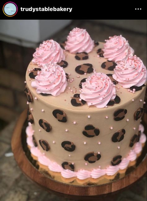 Cheetah Print Cake, Cheetah Print Birthday Cake, Cheetah Print Birthday Cakes, Cheetah Cake Ideas, Leopard Print Fondant, Leopard Birthday Cake, Leopard Sheet Cake, Pink Cheetah Birthday Cake, Leopard Print Birthday Cake