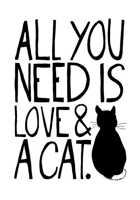 All You Need Is Love and A Cat by TheLoveShop Saving Seeds, Cat Area, Turtle Tank, Kitty Stuff, Adorable Cats, Cat Signs, Baby Kittens, Cat Posters, Cat Quotes