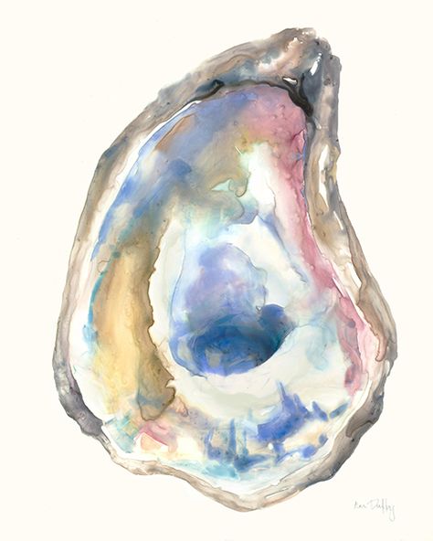 Oyster Shells I Shell Drawing, Sea Life Art, Watercolor Projects, Painted Shells, Artist Brush, Oyster Shells, Easy Watercolor, Shell Art, Oyster Shell