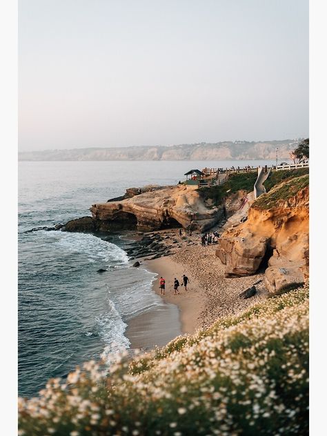 California Coastal Aesthetic, California Beach Aesthetic, San Diego Aesthetic, Avila Beach California, Traveling Board, La Beach, La Jolla San Diego, La Jolla Beach, 2024 Moodboard