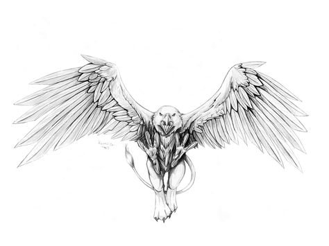 Griffin drawing Griffon Tattoo, Gryphon Tattoo, Griffin Tattoo, Monster Tattoo, Knight Tattoo, Tattoo Lettering Styles, Eagle Tattoos, Chest Piece Tattoos, Creepy Tattoos