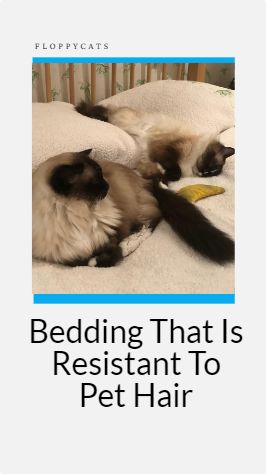 There’s nothing like the feeling of crisp, clean bedding when you want to relax and drift off to sleep. And for cat owners (and dog owners too) there may be nothing that helps you preserve that feeling more than pet hair resistant bedding. Clean Bedding, Cat Health Remedies, Healthy Cat Food, Cat Supplies List, Cat Health Problems, Clean Bed, Cat Health Care, Cat Products, Healthy Cat