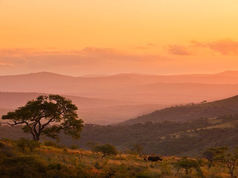 South Africa African Skies, African Sunset, Africa Do Sul, Kwazulu Natal, Rhinos, Out Of Africa, National Geographic Photos, Dream Vacations, National Geographic