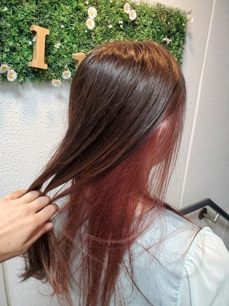 Subtle Dyed Hair Brunettes, Underdye Hair Brown, Hair Dye Burgundy, Pink Underdye Hair, Dye Brown Hair, Hair Dye Brown, Pink Peekaboo Hair, Brown Hair Light, Underdye Hair