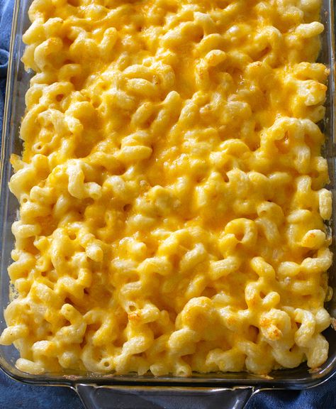 Macaroni and Cheese Cellentani Mac And Cheese, Taste Of Home Macaroni And Cheese, Martha Stewart Macaroni And Cheese, Easy Mac And Cheese For A Crowd, Mac And Cheese Recipe Small Batch, Homade Macaroni And Cheese Easy, Joanna Gaines Mac And Cheese, Paula Deen Macaroni And Cheese, Mac And Cheese With Ricotta