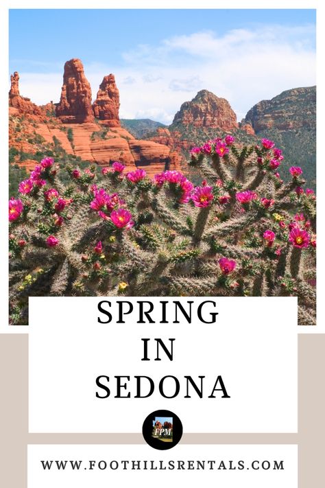 Spring is perhaps the most popular time to visit Sedona! After the cold winter months, guests embrace our warm moderate temperatures, and the natural beauty of the Verde Valley! Outdoor activites are most popular during the months of March through May and there are a number of them to enjoy while you are visiting. Sedona In March, Visit Sedona, March Month, Activities To Do, Winter Months, Sedona, Cold Winter, Spring Time, Grand Canyon