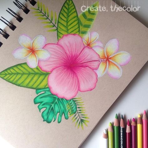 Drawing With Colored Pencils, Prismacolor Art, Arte Sketchbook, Doodle Art Designs, Color Pencil Art, Color Pencil Drawing, Flower Art Painting, Hand Art Drawing, Art Inspiration Painting