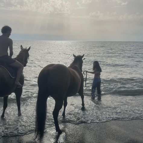 Sea Horse Aesthetic, Sea Ranch, Horse Aesthetic, Horse Ranch, Sea Horse, Horse Riding, Dream Life, The Sea, Horses