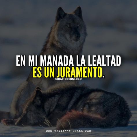 Fearless Quotes, Wolf Life, Alpha Romeo, Wolf Quotes, Motivational Phrases, Wolf Pack, Spanish Quotes, Quotes About God, Teen Wolf