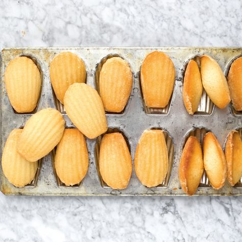 Vegan French Madeleines How To Make Madeleines, Madeleine Recipe, French Cookies, Easy To Make Desserts, Golden Syrup, Desserts To Make, Vegan Baking, Coffee Flavor, Vegan Desserts