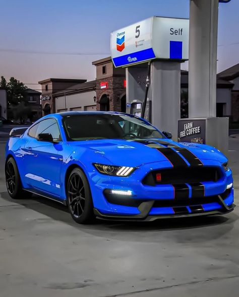 So Blue 🔵 #mustang #fordmustang #fordmustanggt #mustanglife Nice Sports Cars, Mustang Shelby Gt 500, New Tesla Roadster, Cool Truck Accessories, Mustang Car, Futuristic Shoes, New Tesla, Aesthetic Cool, Ford Mustang Car