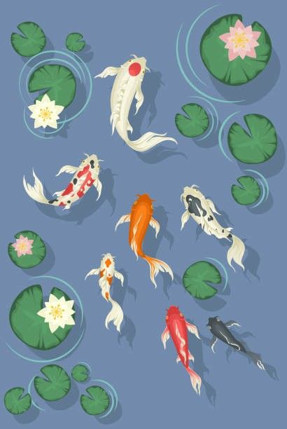 Flowers Top View, Water Lily Drawing, Pond Drawing, Koi Fish Swimming, Lilies Drawing, Coy Fish, Koi Fish Drawing, Koi Art, Boho Art Drawings