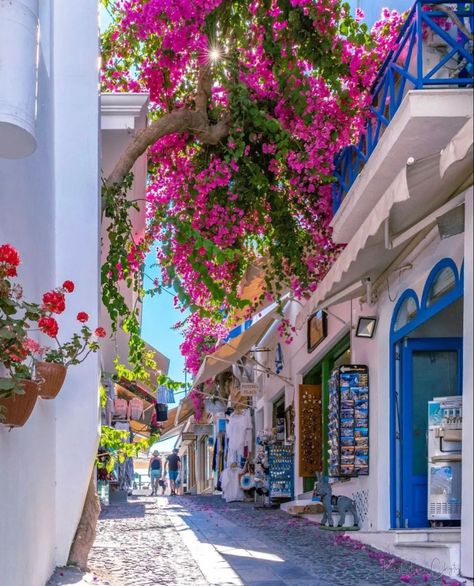 Oia Santorini Greece, Oia Santorini, Cyclades Islands, Cool Doors, Santorini Greece, Travel Trip, Beautiful Places To Travel, Greek Gods, Greece Travel