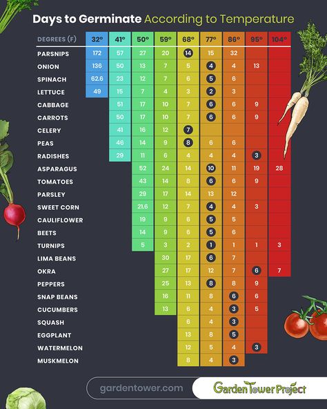 Plant Germination Chart, Zone 7-8 Planting Schedule, Zone 11 Vegetable Gardening, Fall Planting Vegetables Zone 7, Zone 9 Fall Vegetable Garden, Zone 4b Gardening, Zone 8b Vegetable Gardening, Zone 5b Planting Schedule, Zone 9 Planting Schedule Flowers