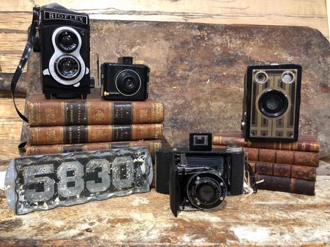 Alter Decorations, Vintage Camera Decor, Camera Display, Camera Decor, Cheap Holiday Decor, Cheap Kitchen Decor, Gold Office, Lovers Lane, Antique Cameras