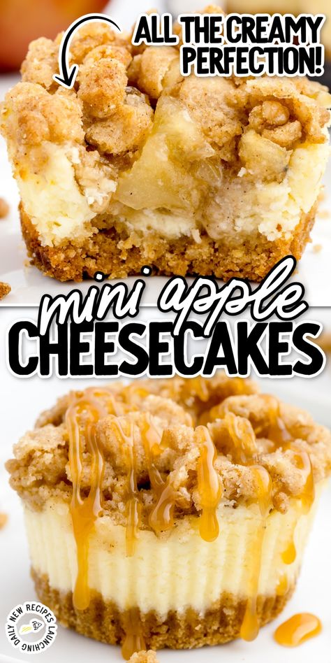 Apple Crumb Cheesecake Pie, Baked By Rachel, Apple Crumble Mini Cheesecake, Caramel Apple Cheesecake Cupcakes, Apple Dessert With Graham Cracker Crust, Apple Pie Mini Cheesecake, No Bake Mini Apple Cheesecakes, Apple Crisp Cheesecake Cupcakes, Cheesecake Apple Salad