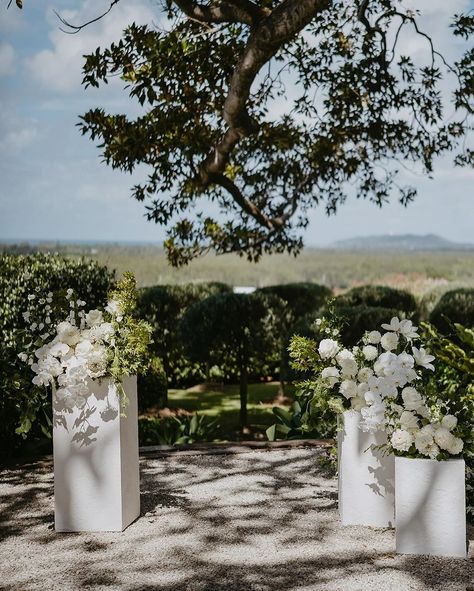 All posts • Instagram Fig Tree Restaurant, Summer Wedding Aesthetic, Wedding Ceremony Florals, Wedding Columns, 2025 Design, Wedding Pillars, Floral Ceremony, Wedding Layout, Tree Restaurant