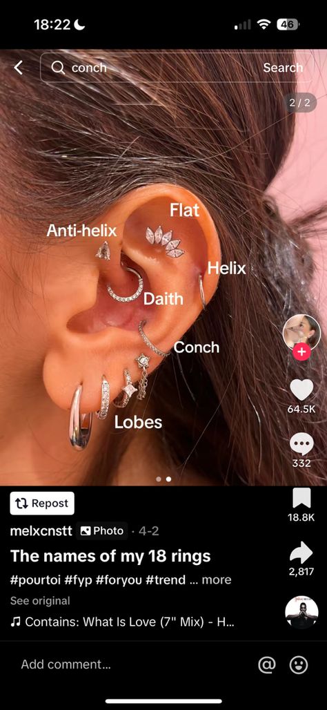 Eat Peircings Women Chart, Peircings Women Chart, Eat Peircings Women, Ear Piercings With Industrial, Double Industrial Piercing, Different Ear Piercings Chart, Peircings Name Chart, Eat Piercing, Different Ear Piercings