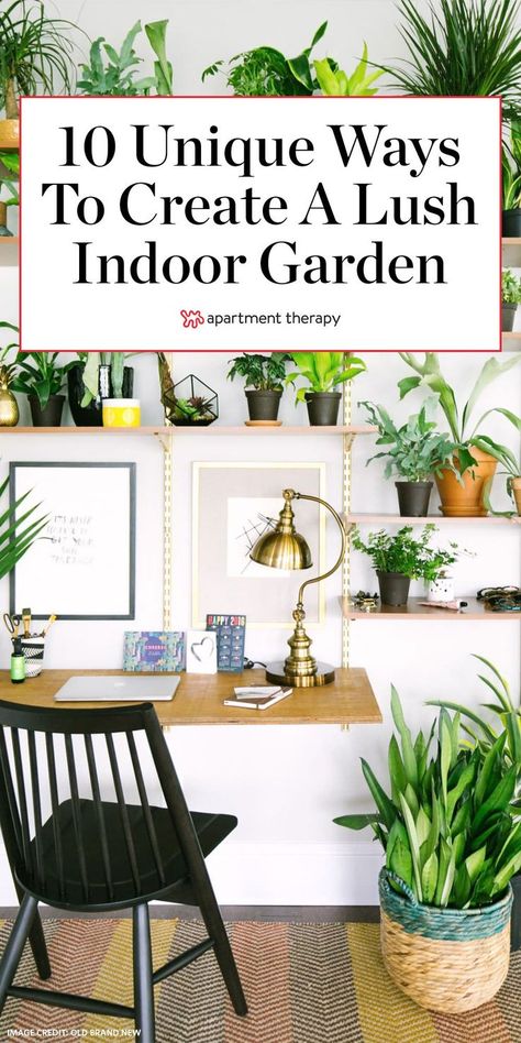 Here are 12 unique ways to create a lush indoor garden and DIY your own plant holders. #indoorgarden #houseplants #plantideas #plantdisplay #plantholders #diyideas #diyplantholders #gardeningideas #indoorplants #planttips #plantcare Garden Apartment Ideas, Indoor Gardening Diy, Plants Indoor Decoration, Indoor Tree Plants, Living Room Plants Decor, Indoor Garden Apartment, Indoor Garden Rooms, Planters Ideas, Garden Room Ideas