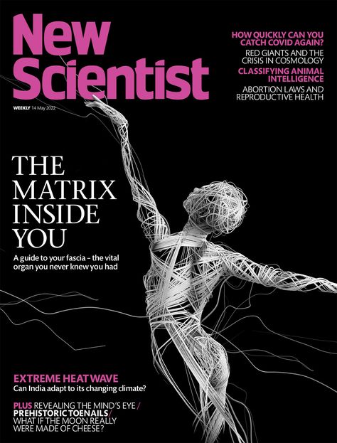 New Scientist - magazine cover. on Behance New Scientist Magazine, New Scientist Magazine Covers, Scientific Magazine, Animal Intelligence, Magazine Cover Ideas, Publishing Design, Technology Posters, Pop Magazine, The Mind's Eye