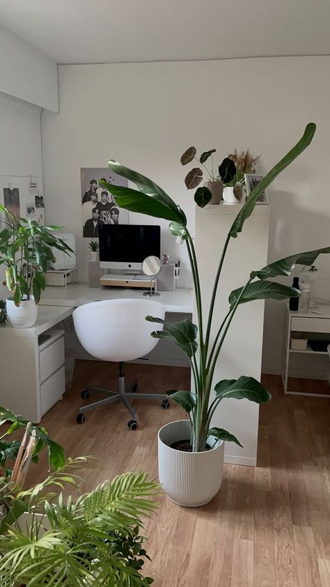 2023 plant room decoration and a desk decorated with plants and kpop details Kpop Details, Plant Room, Teenage Room, Future Apartment Decor, Minimalist Room, Aesthetic Rooms, Dreamy Room, Room With Plants, Room Design Bedroom